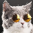 Ieva Davalgaite's avatar